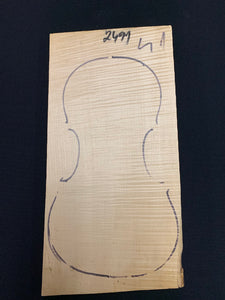 Violin Maple 1piece Back ②