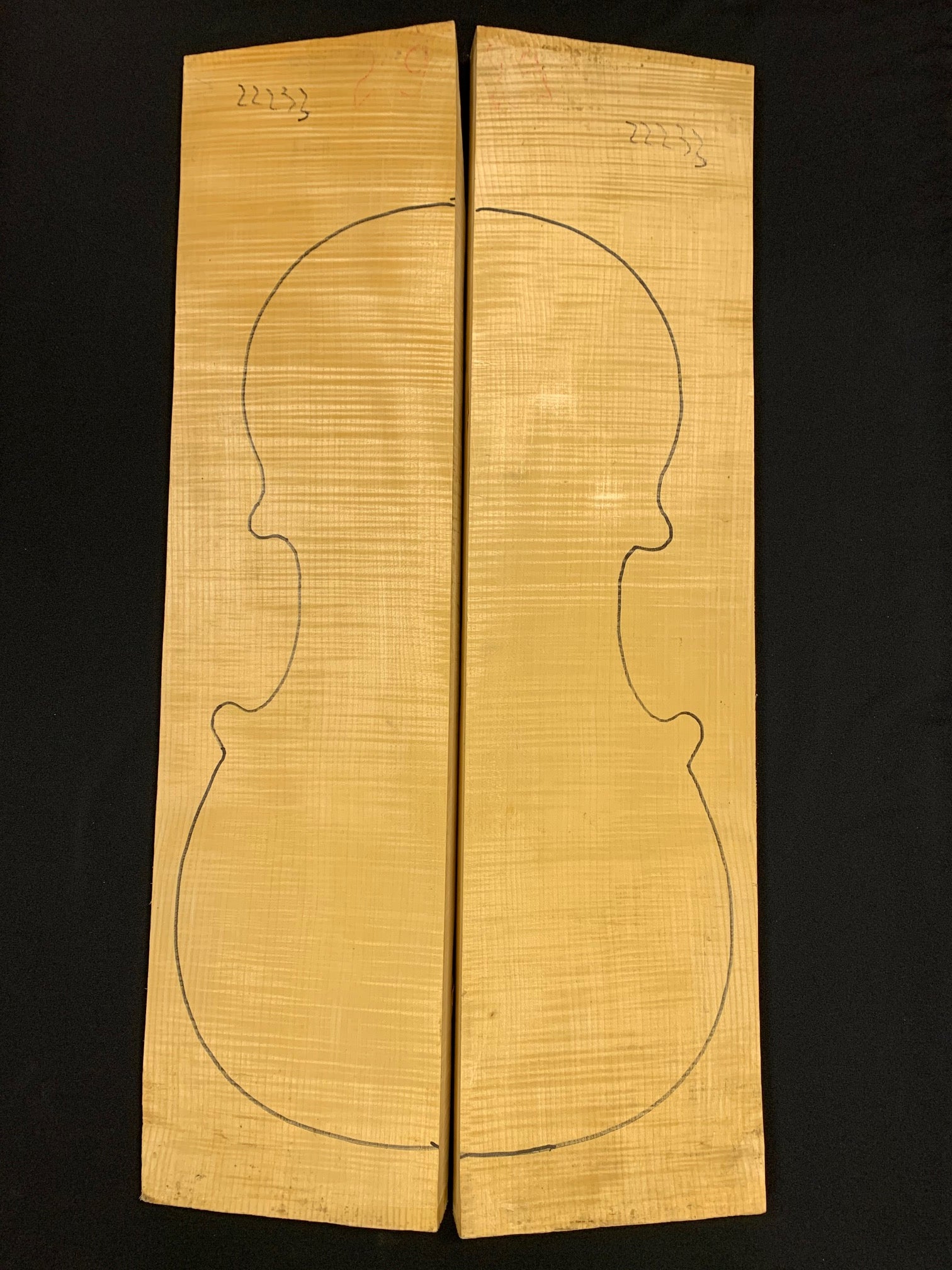 Cello Maple Back