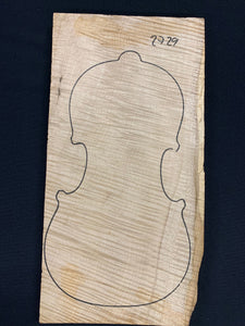 Violin Maple 1piece Back