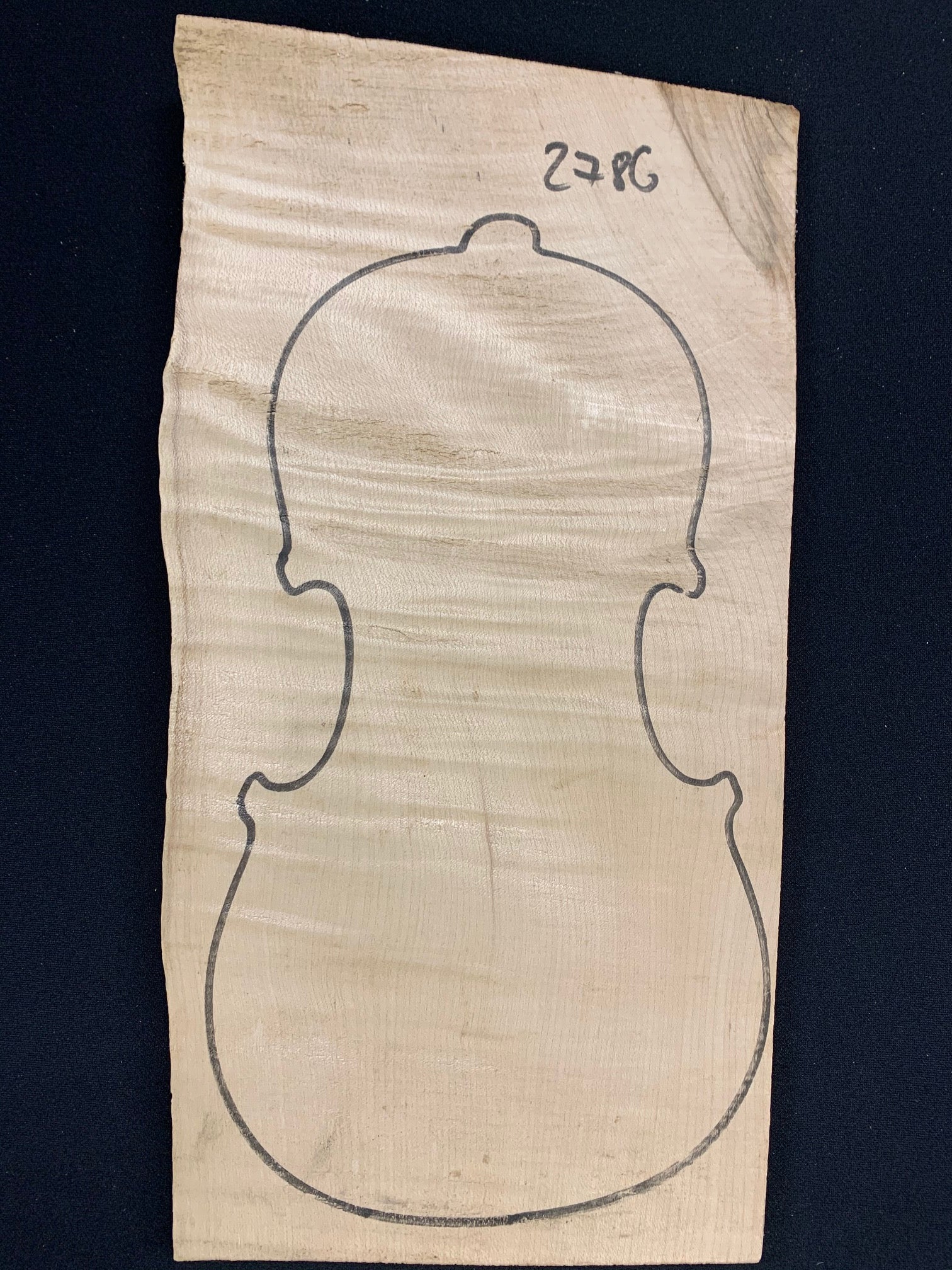 Violin Maple 1piece Back