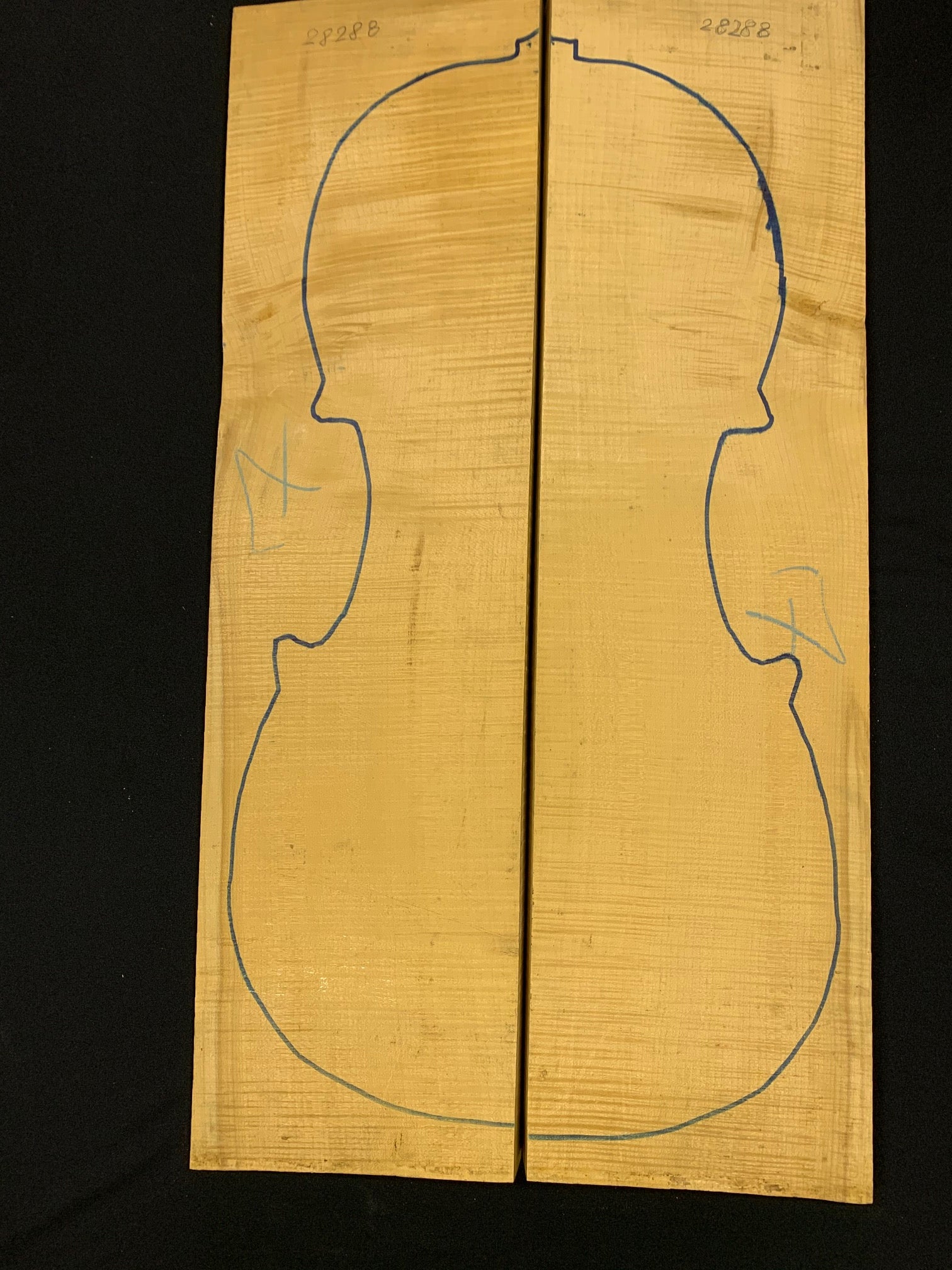 Cello Maple Back