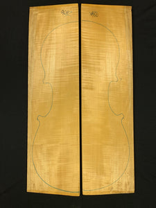 Cello Maple Back