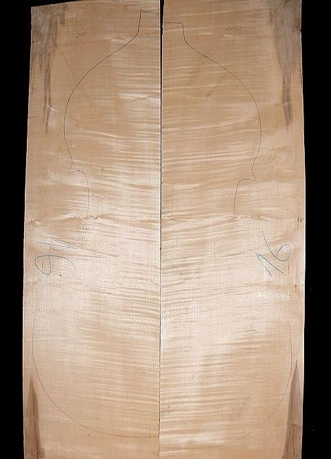 Contrabass Maple Back